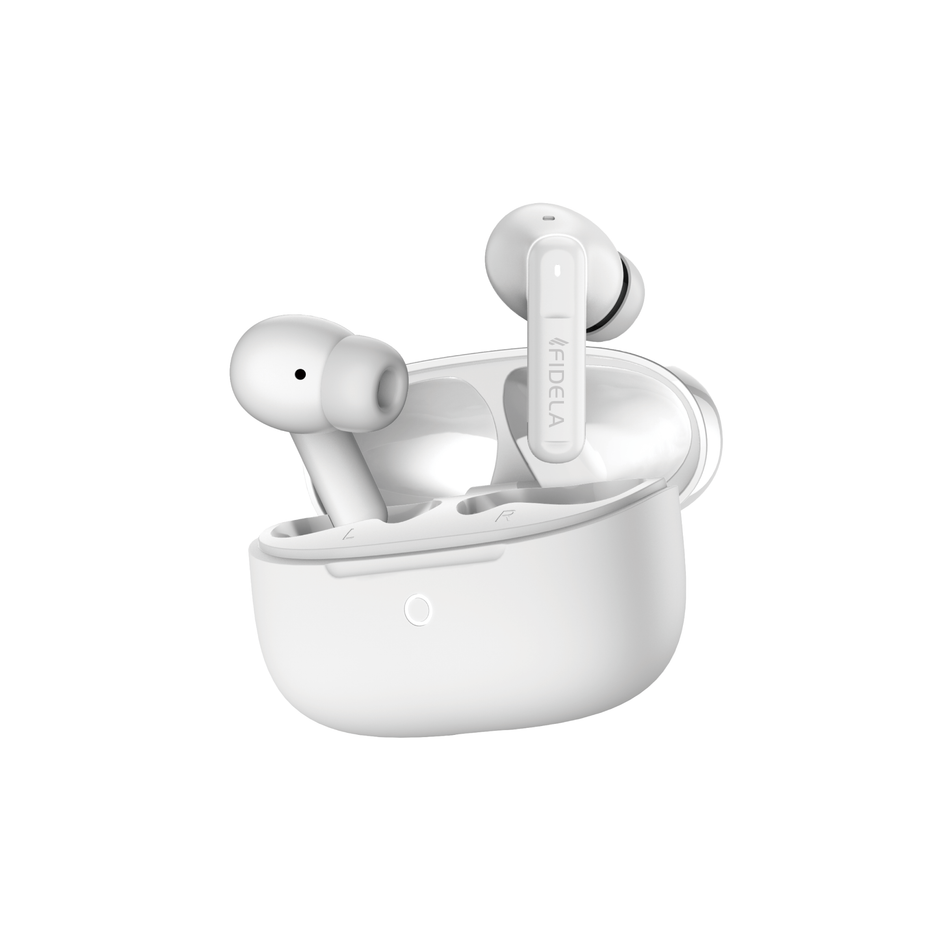Products – FIDELA